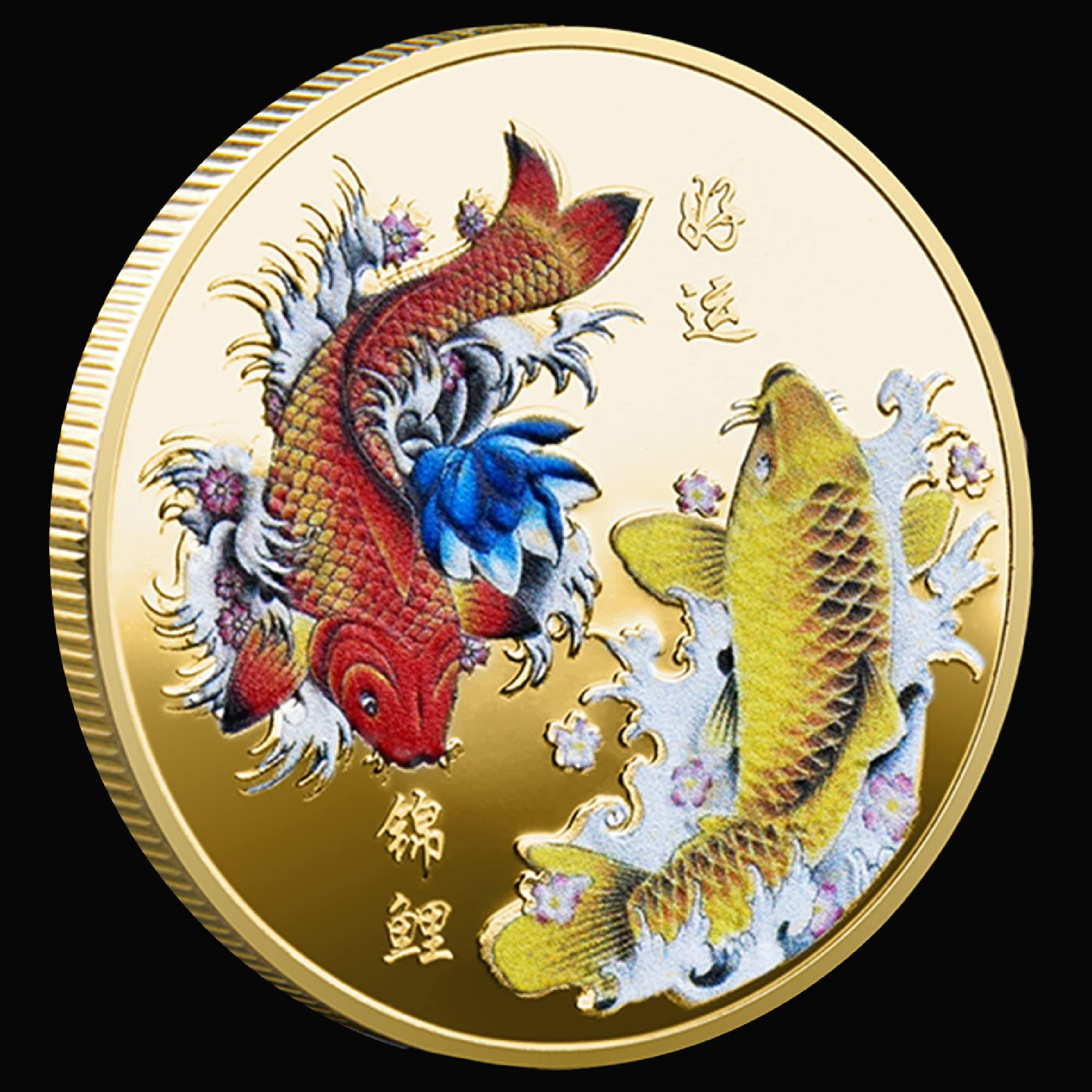 patpaw Chinese Koi Fish Lucky Coin Colorful Carp Challenge Coin for Ticket Scratcher Tool