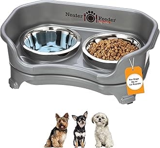 Express Mess Proof Dog Bowls Elevated for Small Breeds Under 15 Lb, Made in USA, No Spill Raised Dog Food Bowl Stand, Stainless Steel Food and Water Bowl Set, Feeding Station, Grey