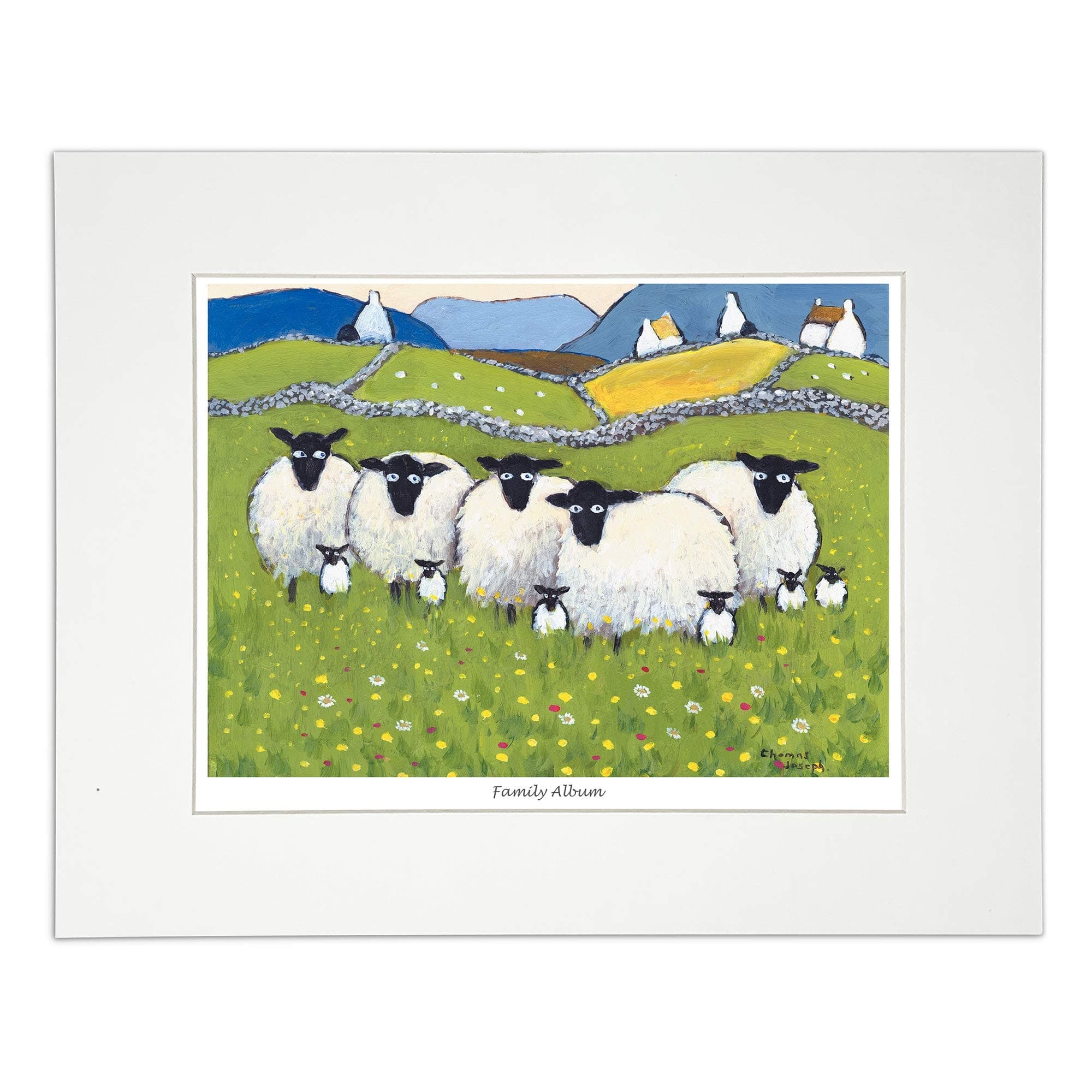 'Family Album' Mounted Print by Thomas Joseph - Sheep Art