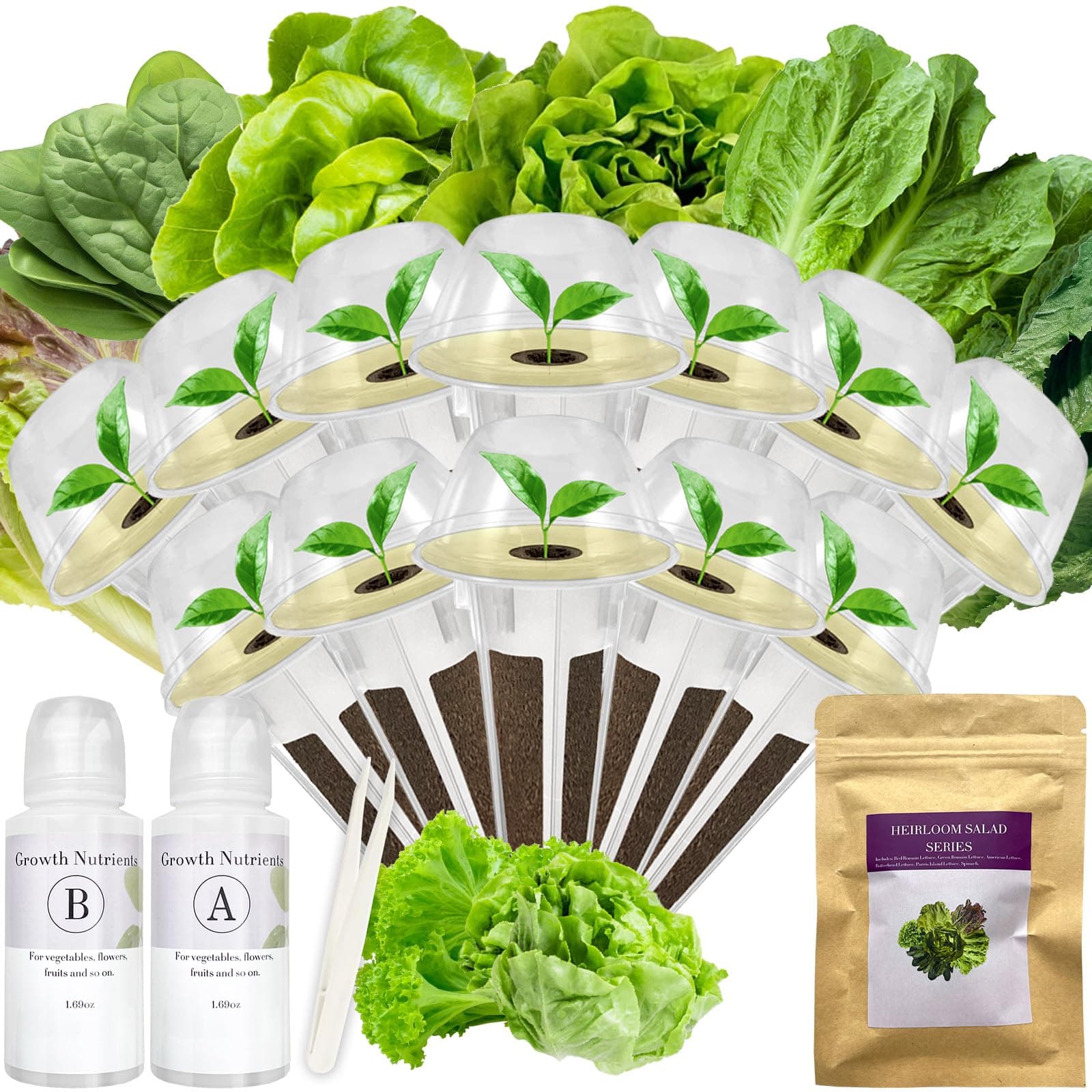 Salad Greens Seed Pod Kit for AeroGarden, idoo, Ahopegarden, MUFGA with Red and Green Leaf, Romaine and American Fast/Buttercrunch/Paris Island Lettuce, Spinach - Compatible with All Garden(12-Pod)