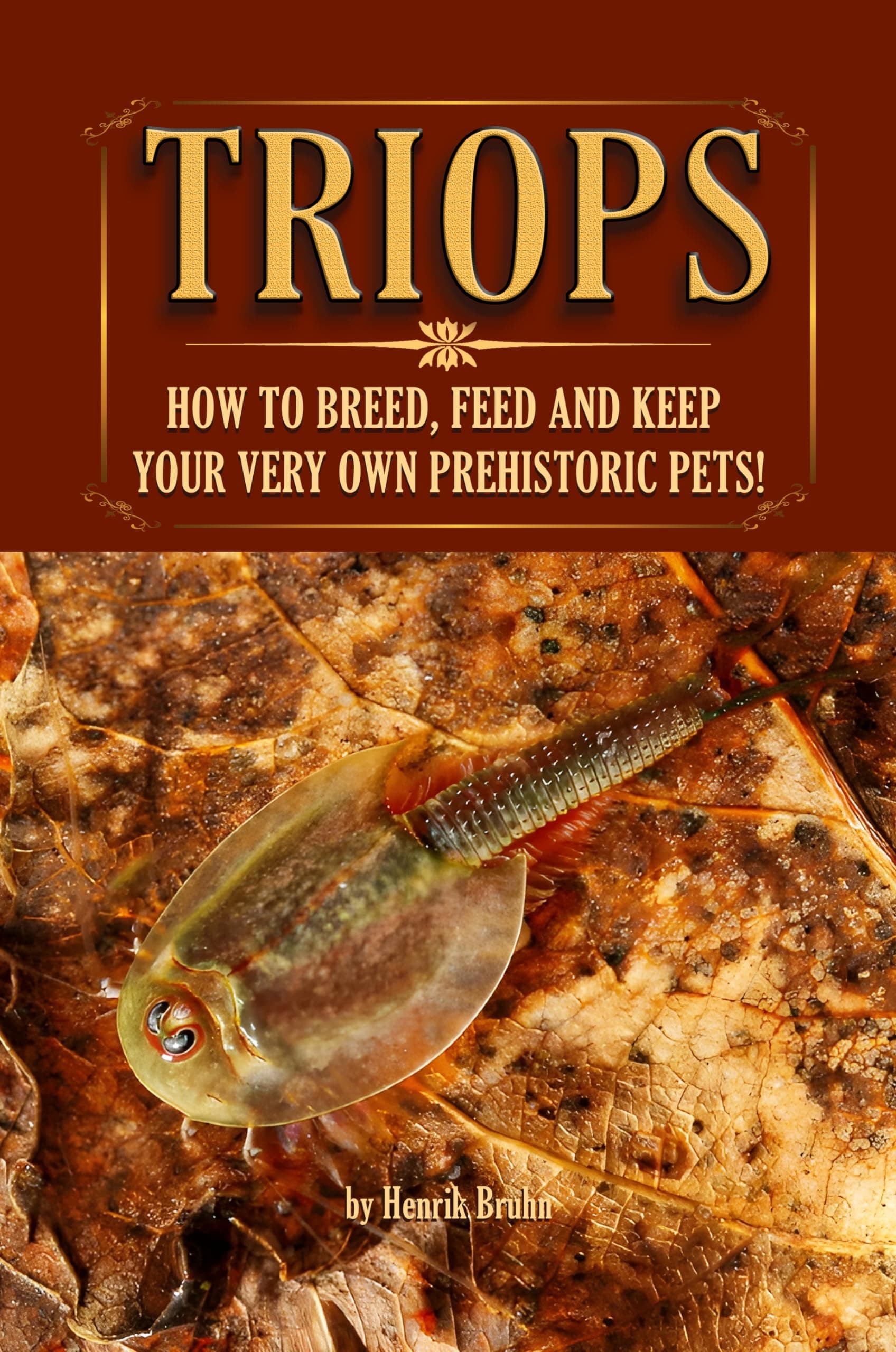 Triops