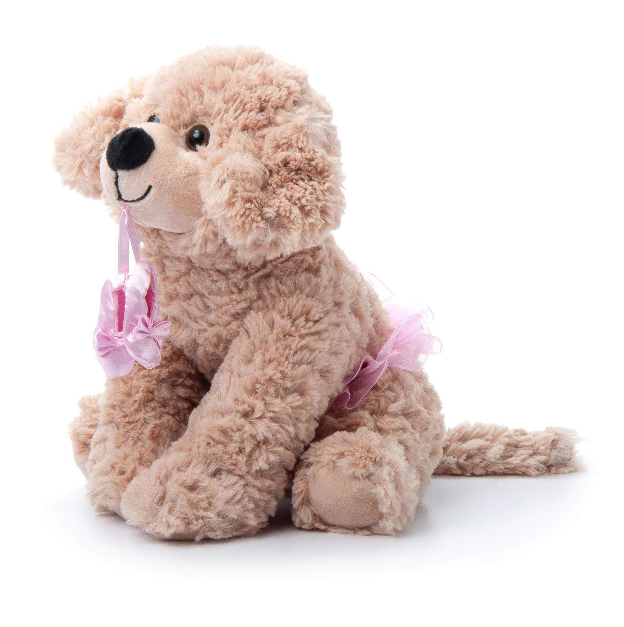 Adorable 9 Scruffy Ballerina Dog