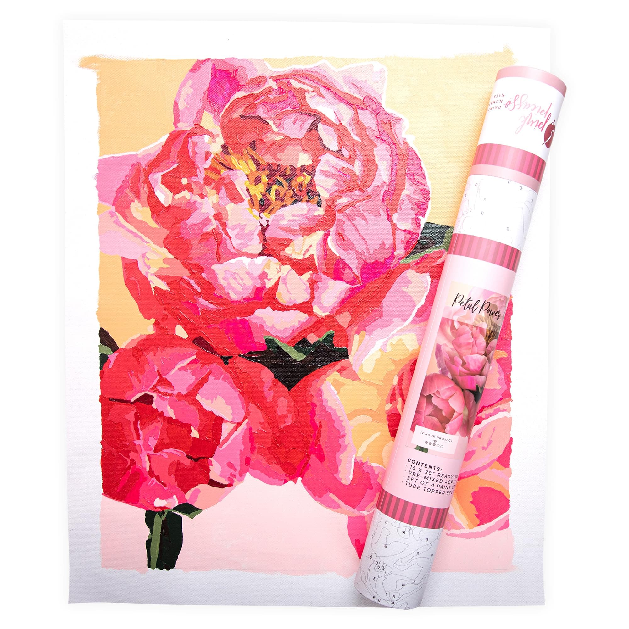 Pink Picasso Kits Botanical Floral Paint by Number for Adults &Teens | DIY Canvas 16x20 Acrylic Painting Kit Sets, Color by Numbers, Drawing, Arts & Crafts, As Seen On Shark Tank (Petal Power)