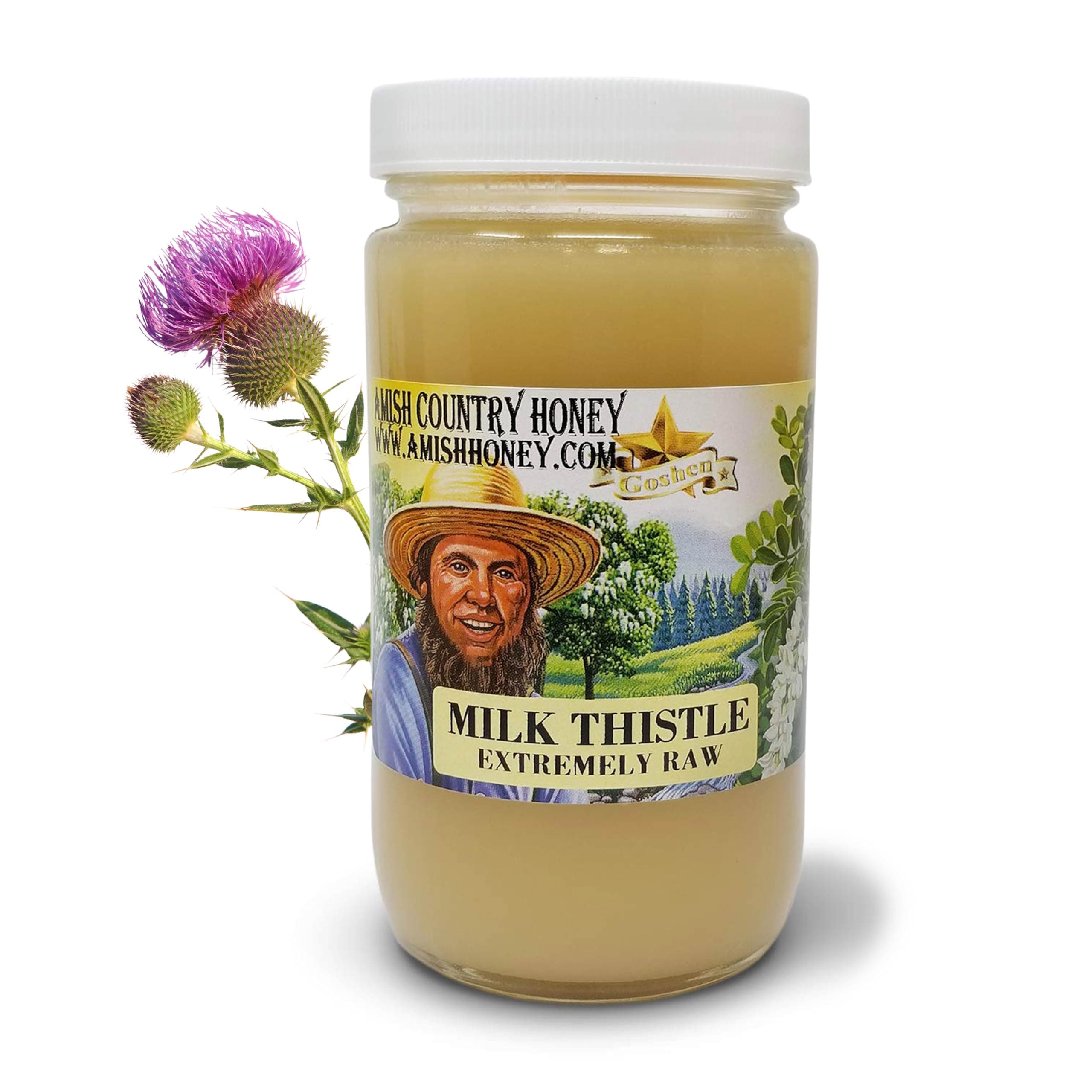 Goshen Amish Country Extremely Raw Milk Thistle Honey - Unfiltered, Unprocessed, Pure & Natural - Harvested in the USA - Rich Flavor for Tea, Cooking, Wellbeing - Kosher Certified - 16oz Glass Jar
