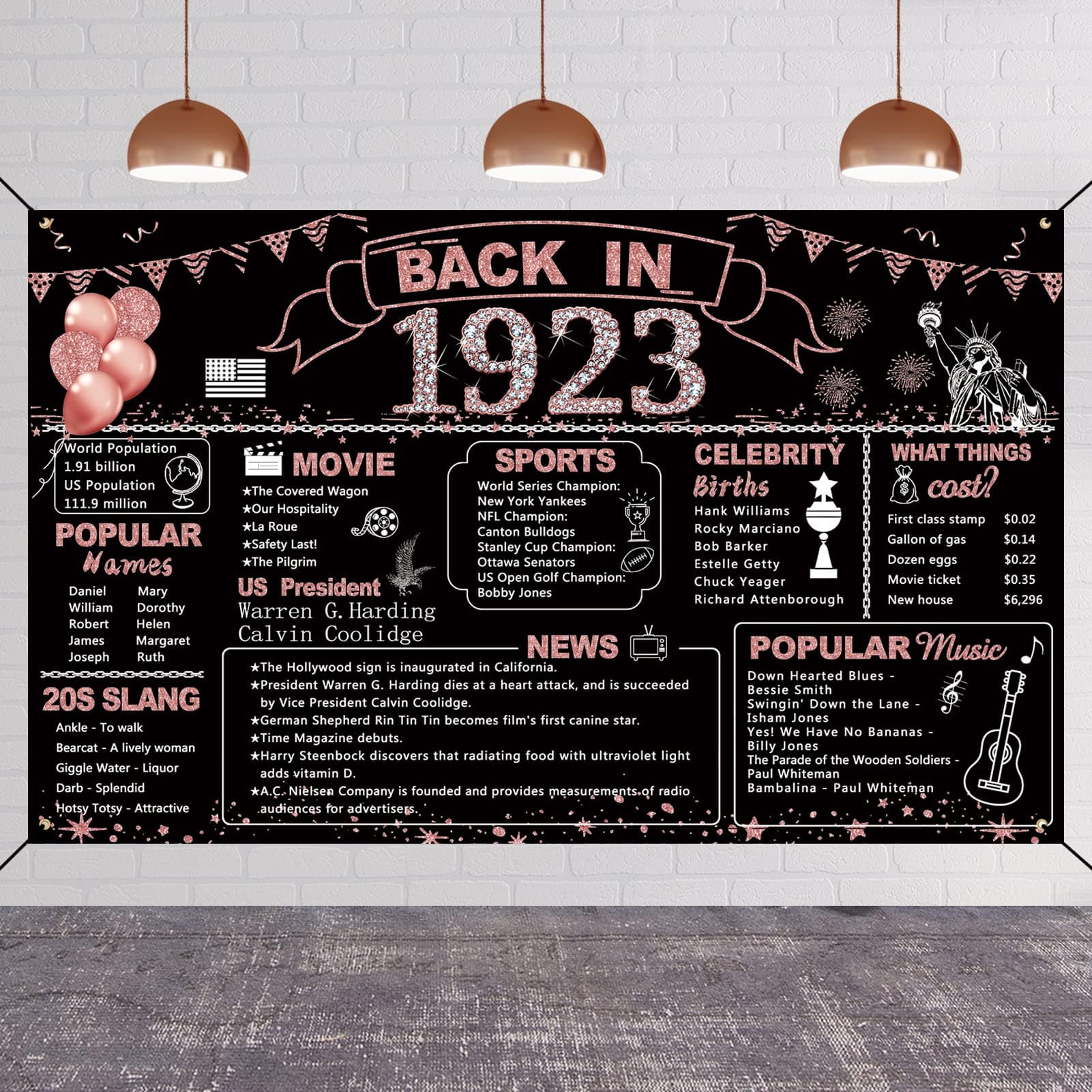DARUNAXY 101st Birthday Rose Gold Party Decoration, Back in 1923 Banner 101 Year Old Birthday Party Poster Supplies, 6x3.6ft Large Vintage 1923 Backdrop for Girls Photography Background for Women
