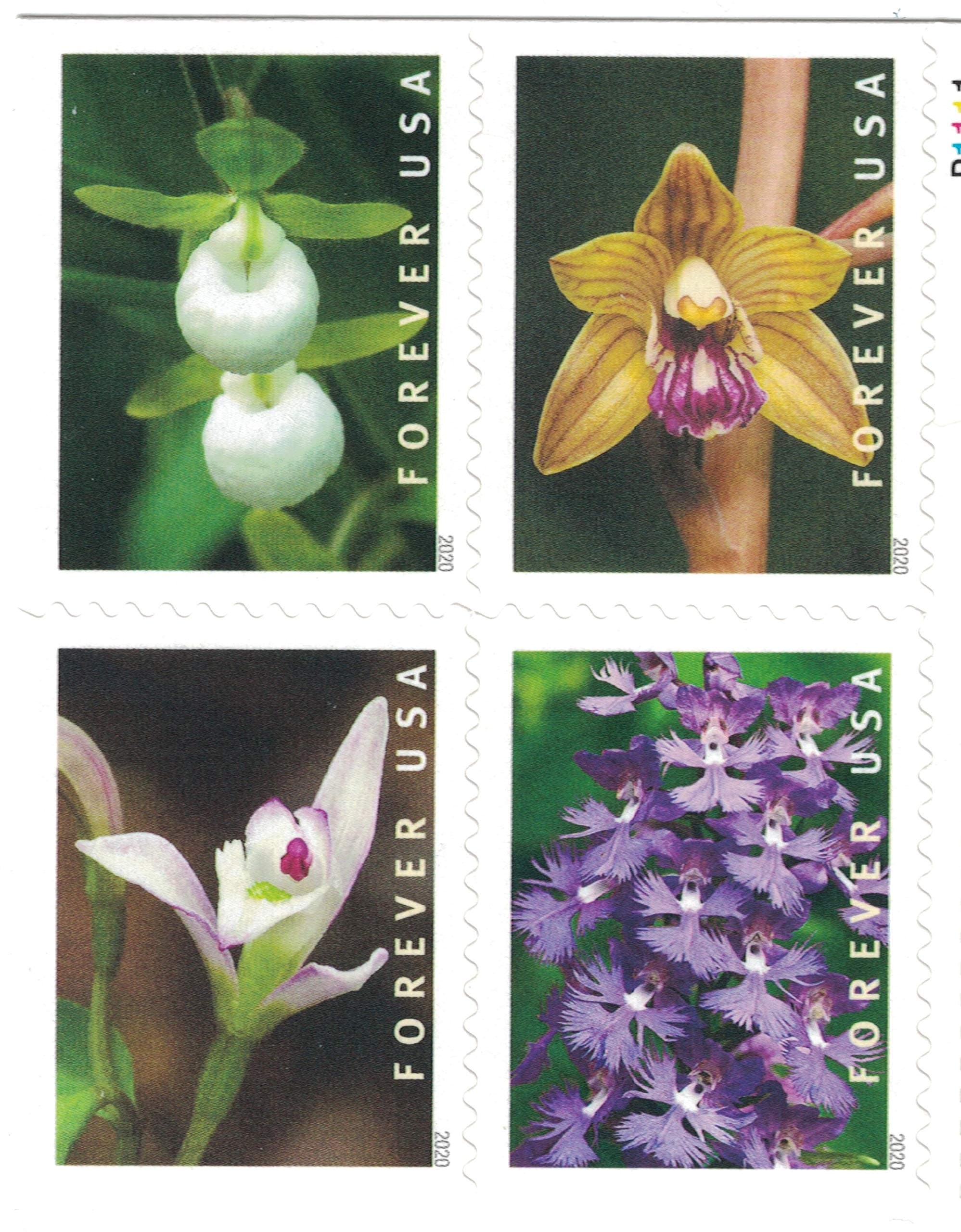Wild Orchids Flowers (Booklet of 20) First-Class Mail Forever Postage Stamps 2020 Scott 5445-5454
