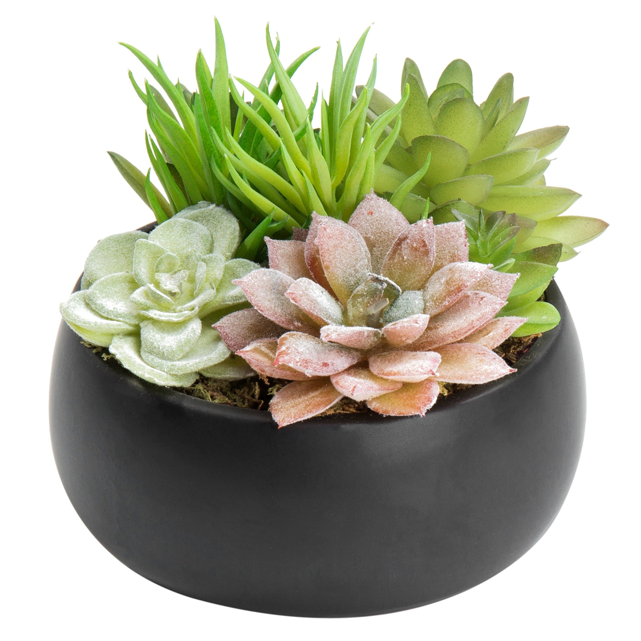 MyGift Mini Artificial Succulent in Pot, Fake Plant Arrangement in Black Cera...