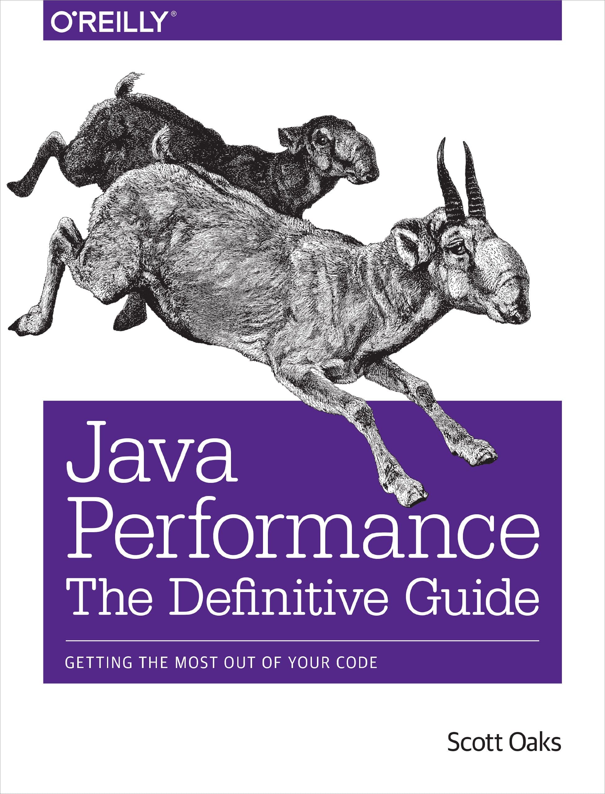 Java Performance: The Definitive Guide: Getting the Most Out of Your Code 1st Edition