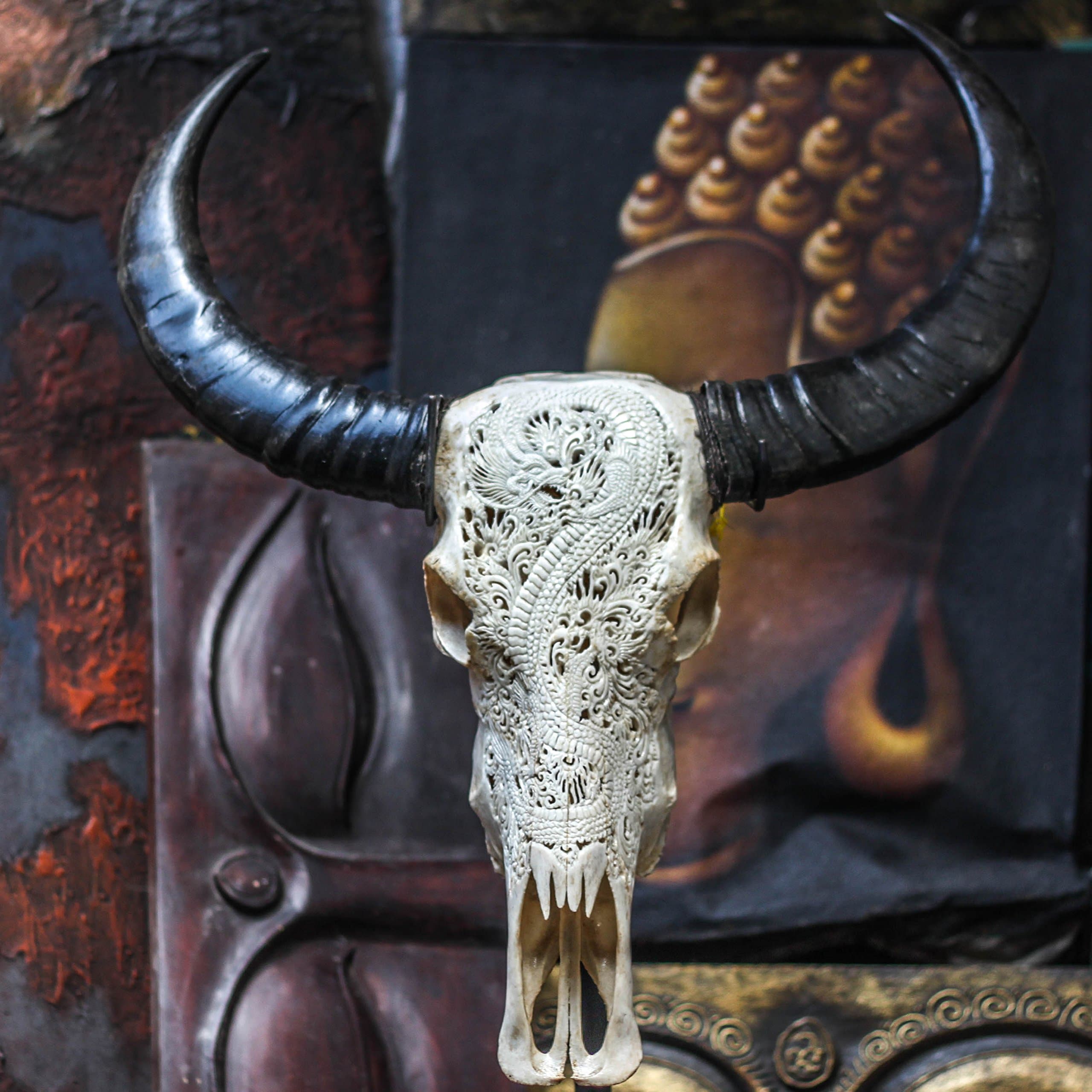 28'' Authentic Buffalo Skull with Horns & Dragon Carving - By Skullbliss