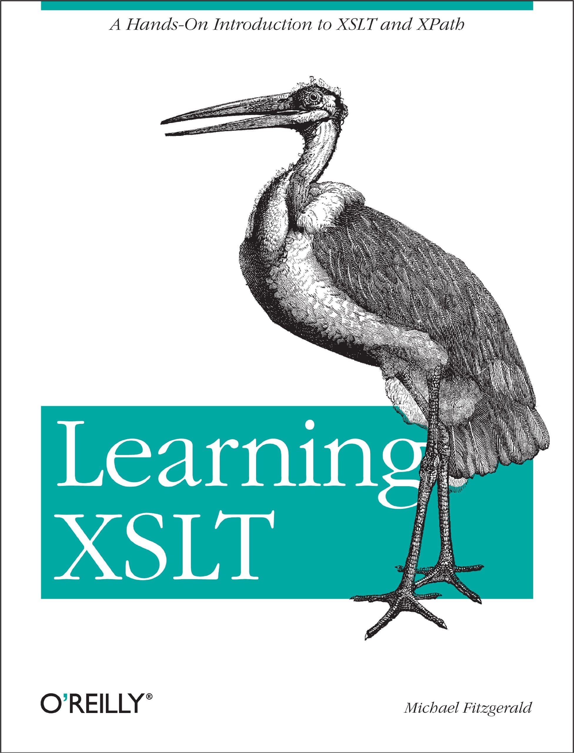 Learning XSLT: A Hands-On Introduction to XSLT and XPath 1st Edition