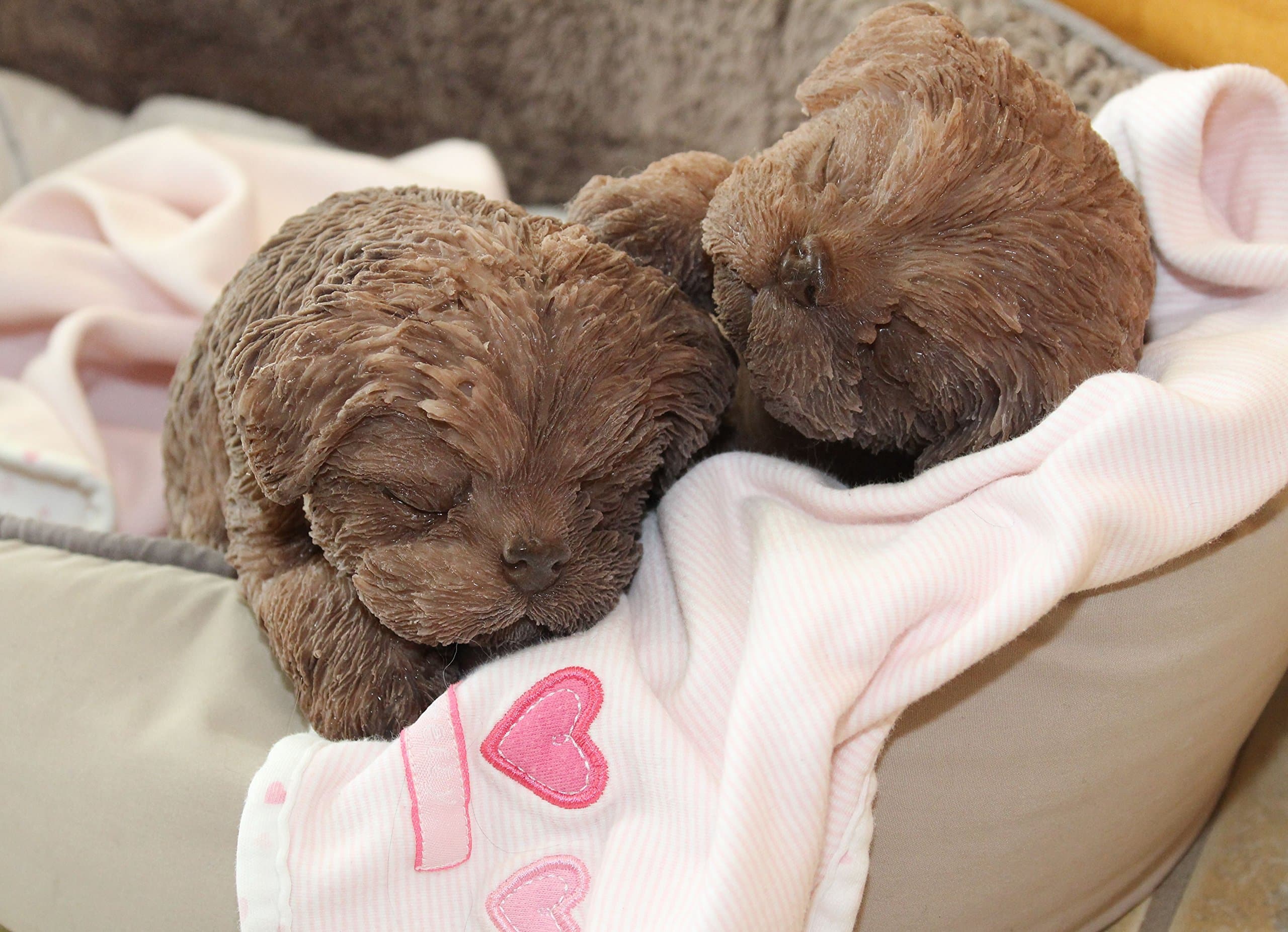 It's a Puppy Girl! Full Silicone Bathable Life Like Reborn Newborn Baby Doggie Doll