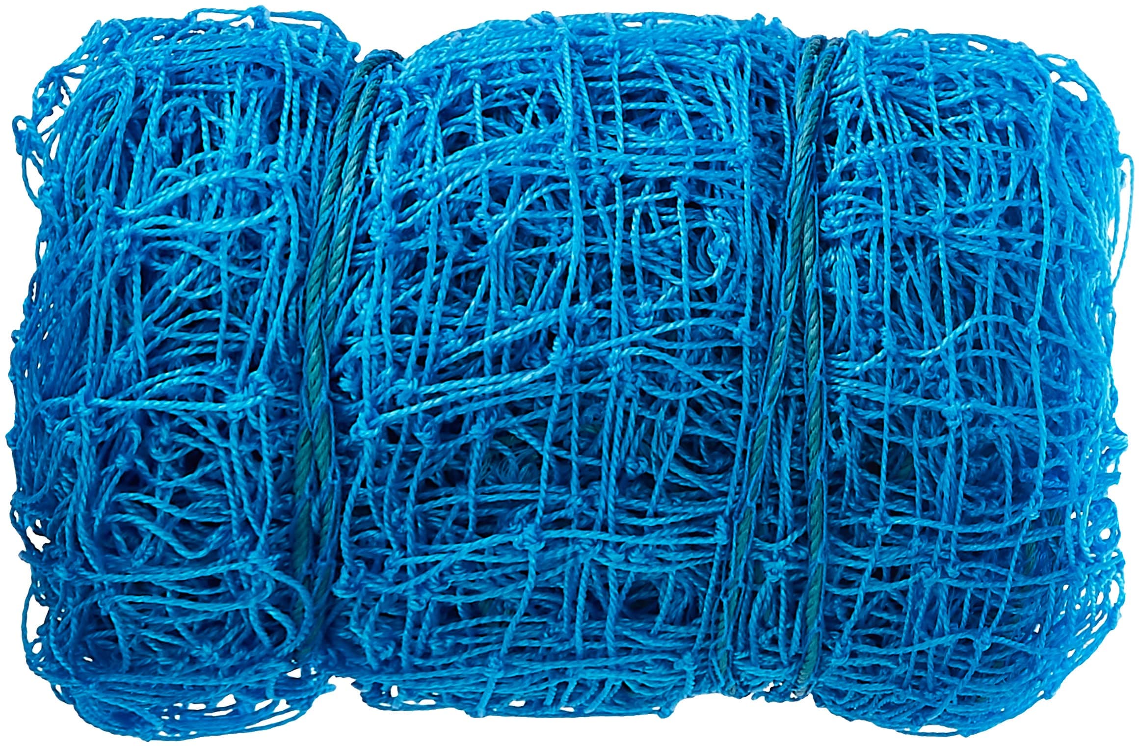 Raisco Cricket Practice/Boundary Fencing Football/Futsal/Handball Sports Ground Net Safety net Size:1.5mm-10 * 10-Blue