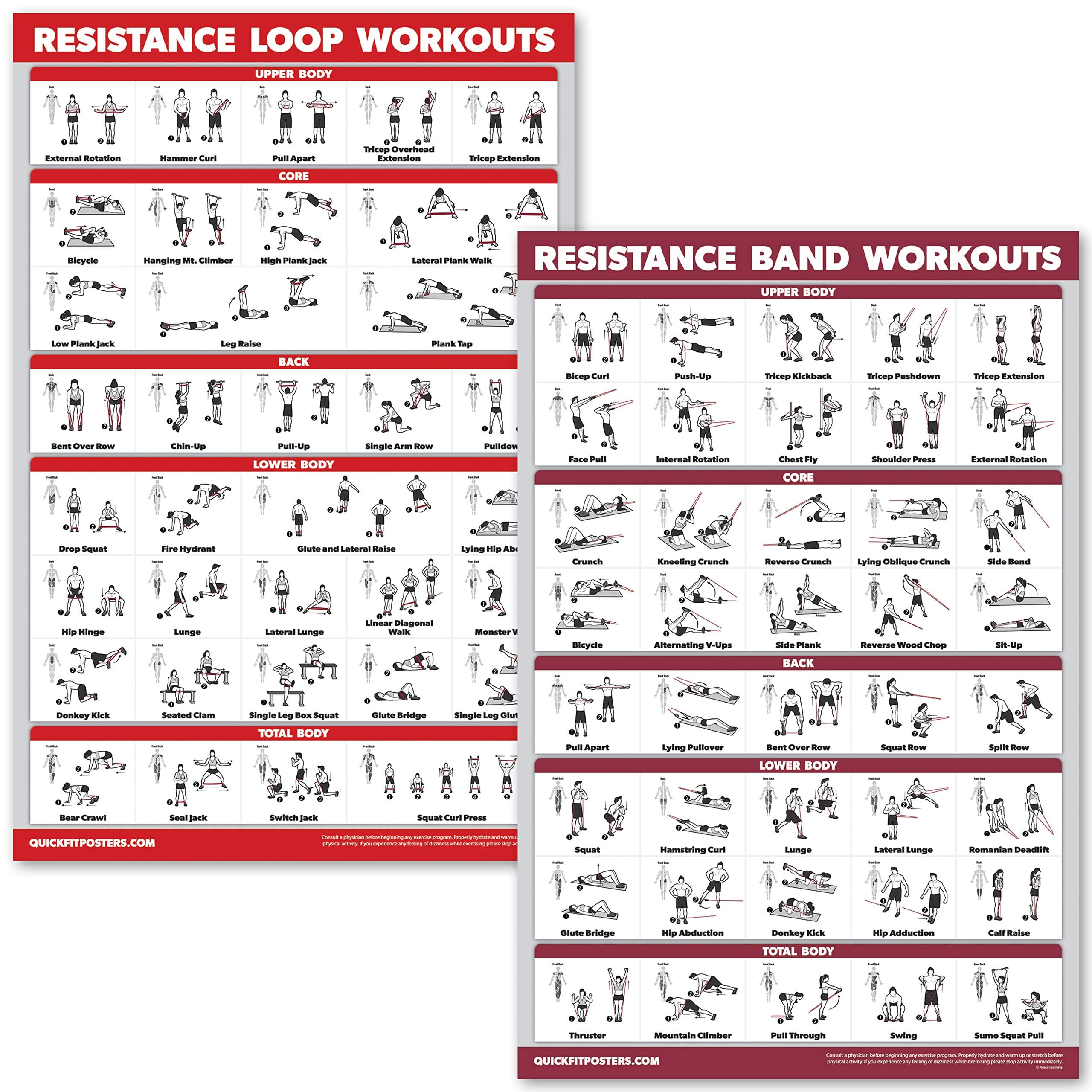QUICKFIT 2 Pack - Resistance Bands and Resistance Loops Workout Posters - Set of 2 LAMINATED Charts - Resistance Band Tubes and Loops Exercise Charts (Laminated, 18" x 24")