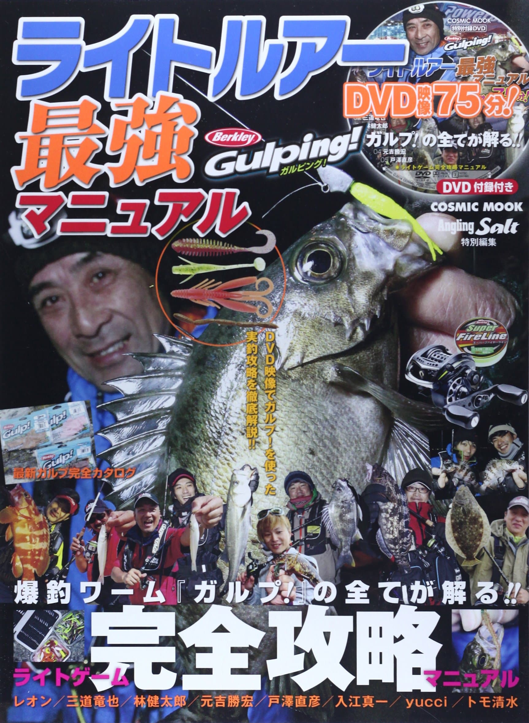 Raito rua saikyo manyuaru : Divuidi eizo nanajugofun bakucho wamu garupu no subete ga wakaru.