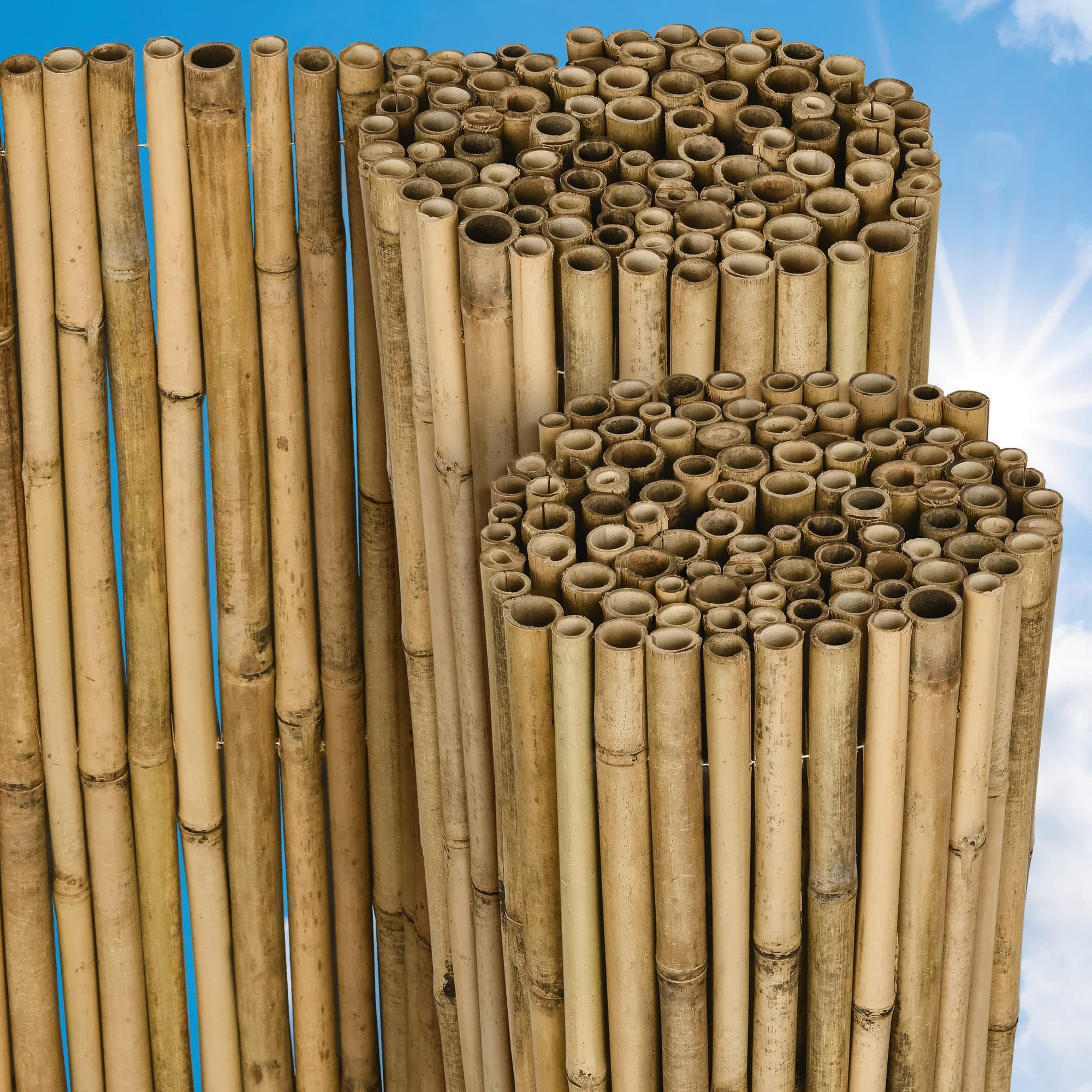 Sol Royal Natural Bamboo Fence Screening 90x250cm (HxW) - Premium Bamboo Canes - Garden Screening Roll Fence Panels for Outdoor Wind & Sun Protection Balcony Terrace - B38