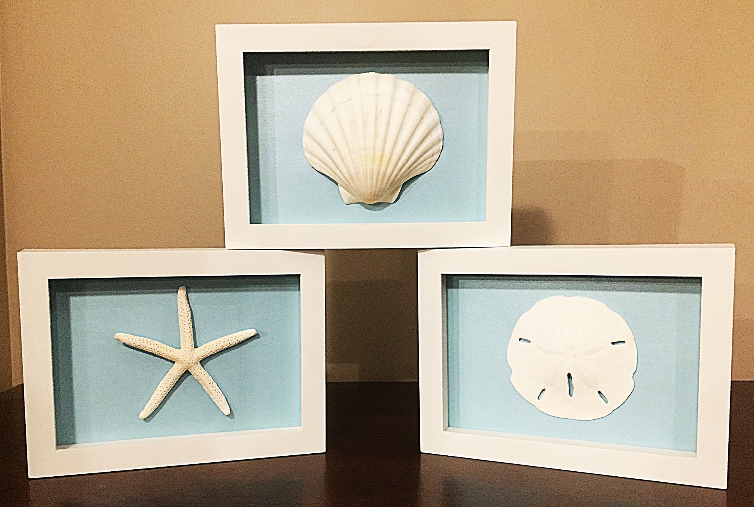 Set of 3, Sand Dollar, Starfish and Scallop Shell Shadow Box Frames, Beach Decor Wall Art, Choose Background, Ready to Hang (Blue)