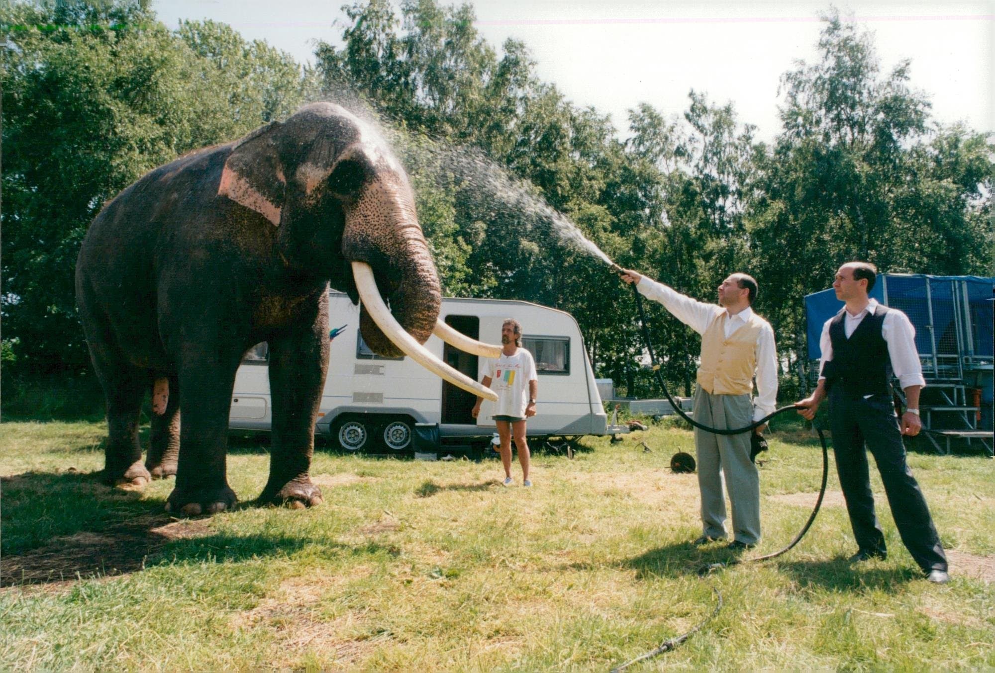 Vintage photo of Robert & Henry Bronett, Brothers Bronett
