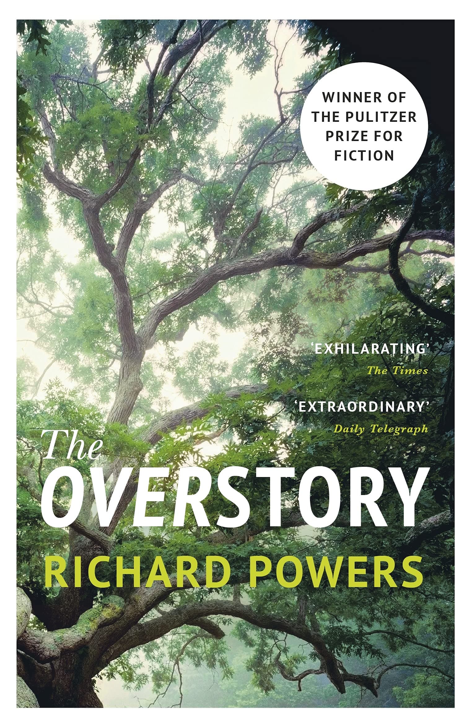 The Overstory Paperback – November 21, 2018