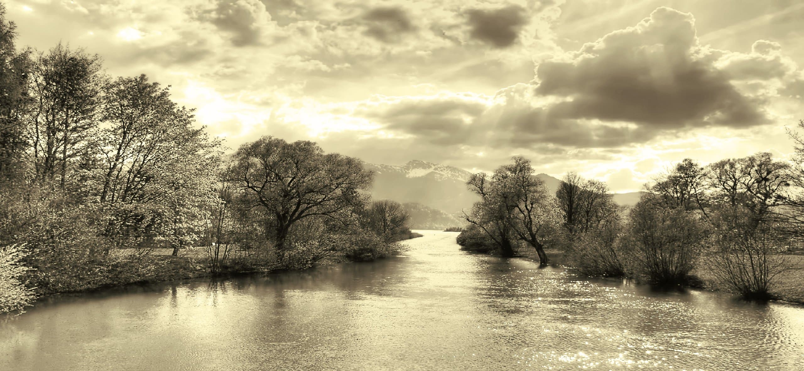 LANDSCAPES Large Canvas Picture Trees by the Lake Cream Grey Modern Photographic Canvas Artwork mounted and ready to hang 44 x 20 inches by WALL ART INTERIORS