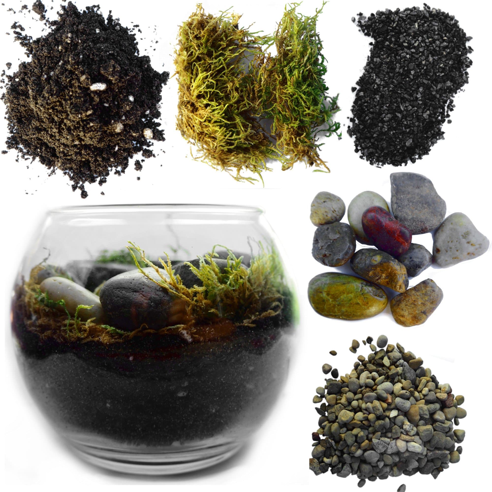Complete Terrarium Kit: Succulent Planter with Soil and Glass Globe + All Supplies for Succulent, Cactus, and Fairy Garden (Glass Globe, Height 4 inches - Width 5 inches)