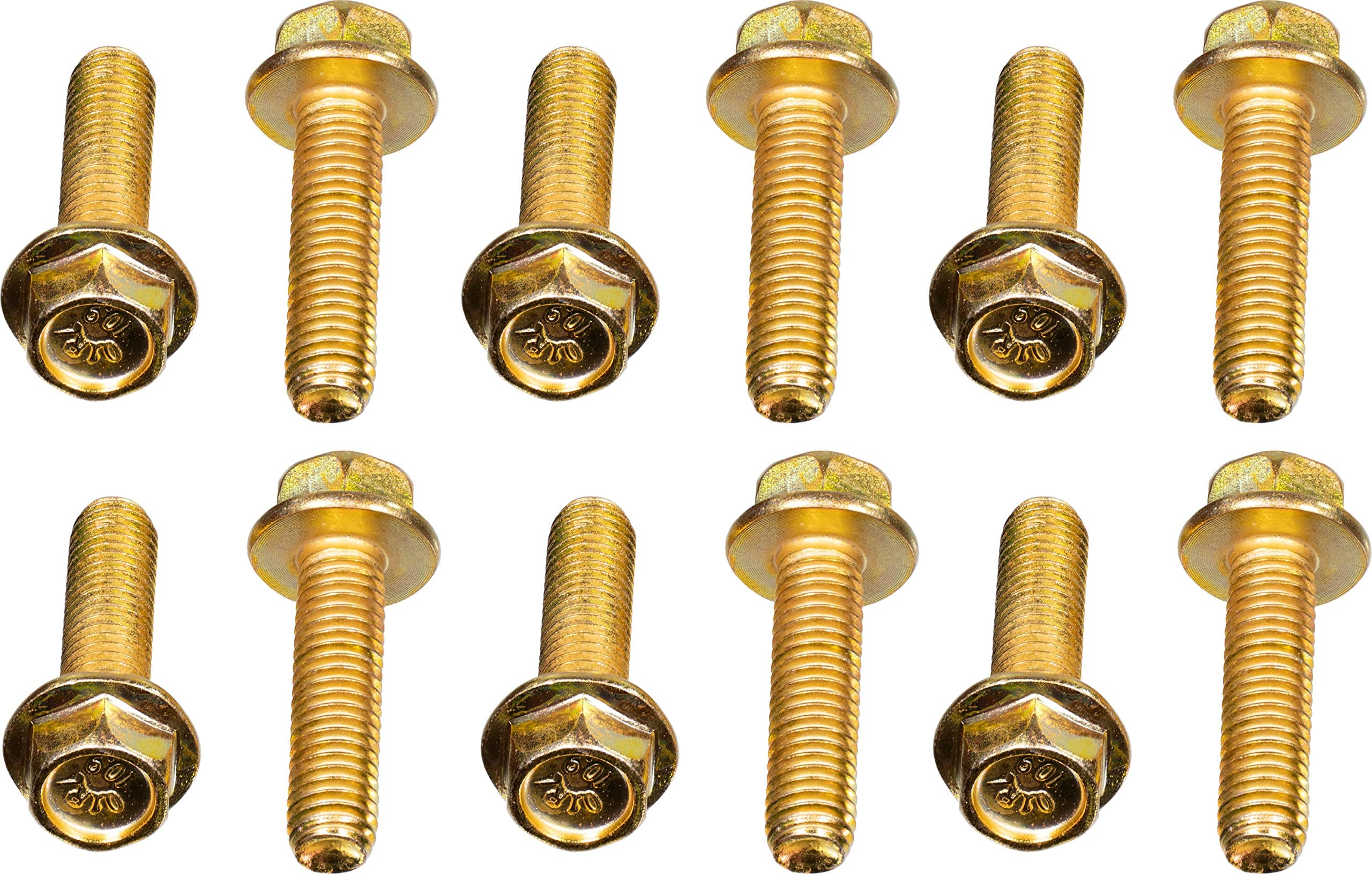 103944 Exhaust Manifold Anti-Corrosion Flanged Bolt (Set of 12; M8-1.25; Grade 10.9) (Direct Fit for The Models Listed in Compatibility Chart)