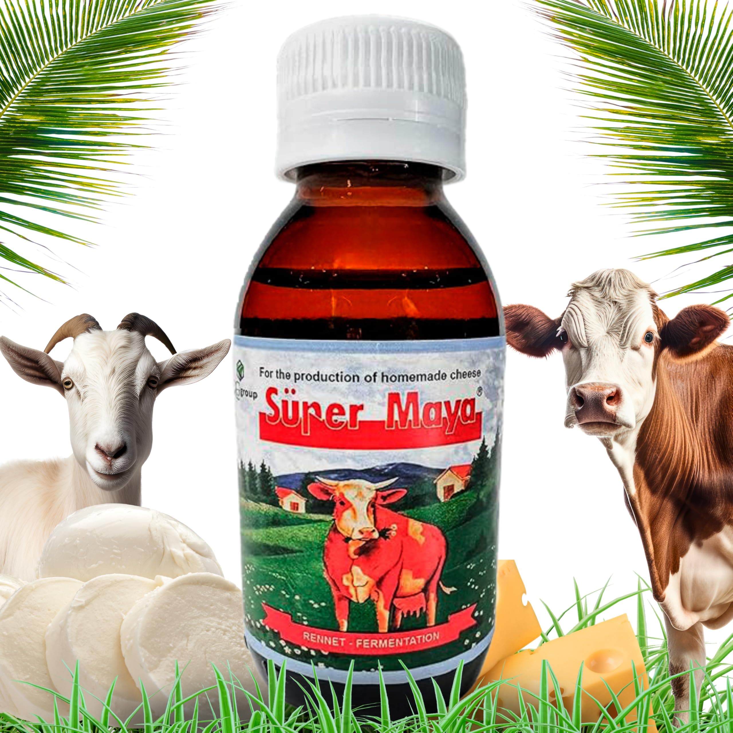 QG group Maya for Making Cheese - 150 L Super Maya for Cheese Milk - Cheese Yeast Super Maya Cheese Making Maya