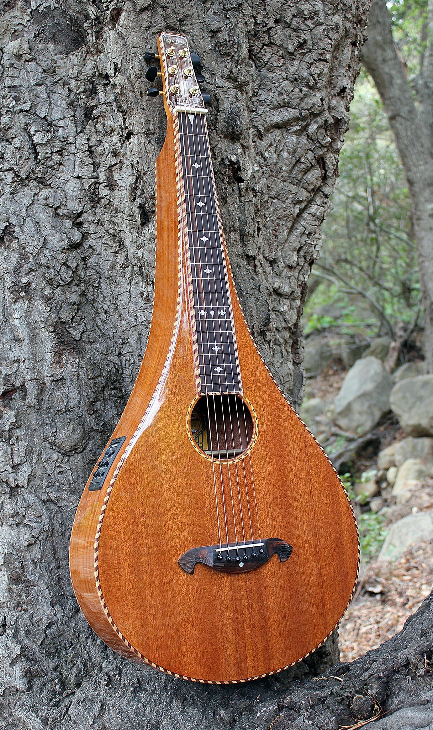 Imperial Royal Hawaiian Limited Edition Teardrop Weissenborn Style Lap Steel Guitar