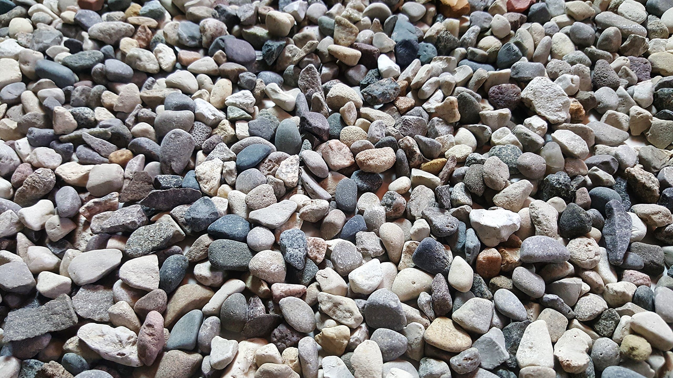 5 lbs. of Small River Pebbles (Triple Washed) from Northern Michigan Succulents, Cactus or Bonsai, Fairy Gardens, Terrariums | Safe & Non-Toxic