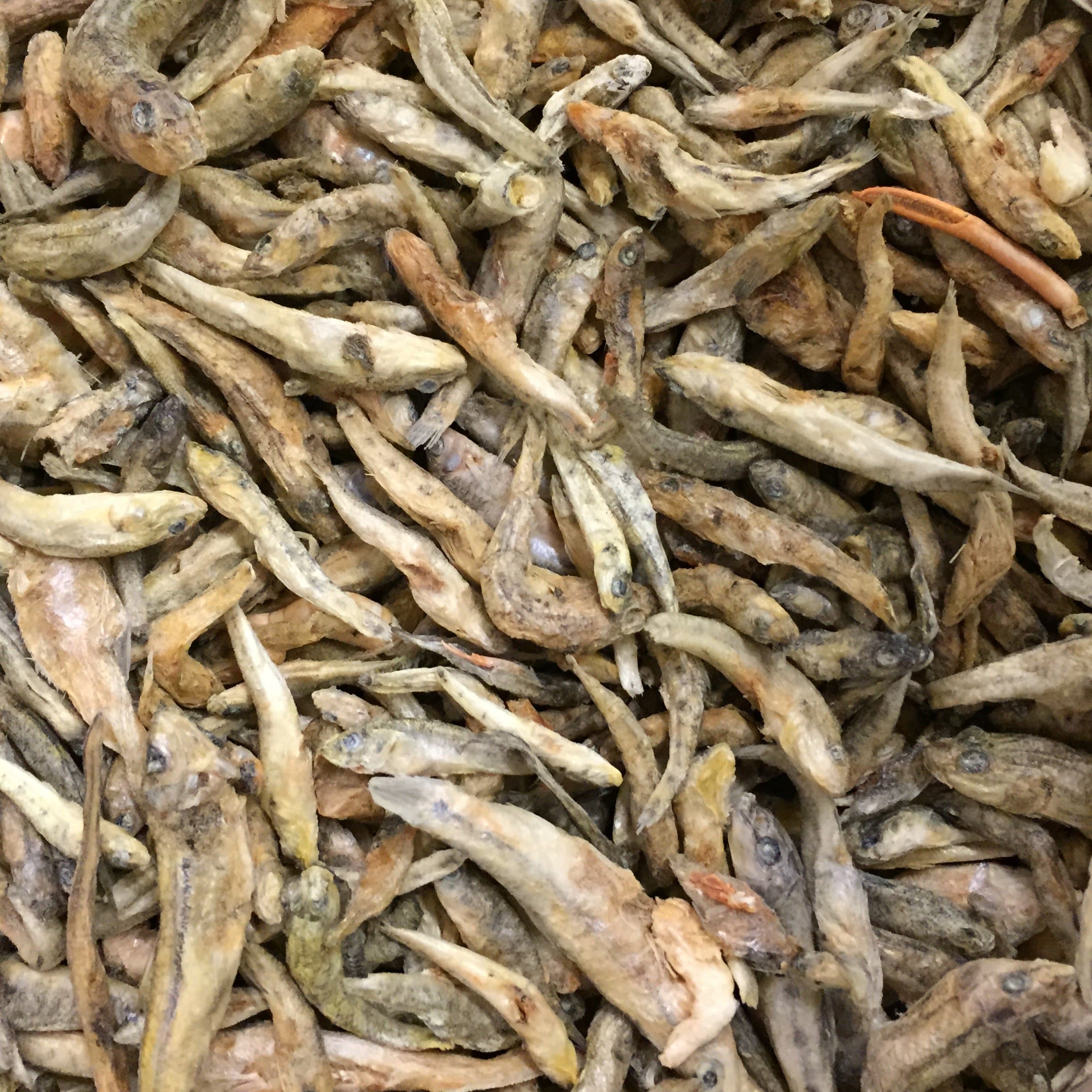 Freeze Dried Whole Fish Turtle and Fish Food For Tropical and Marine (200g)