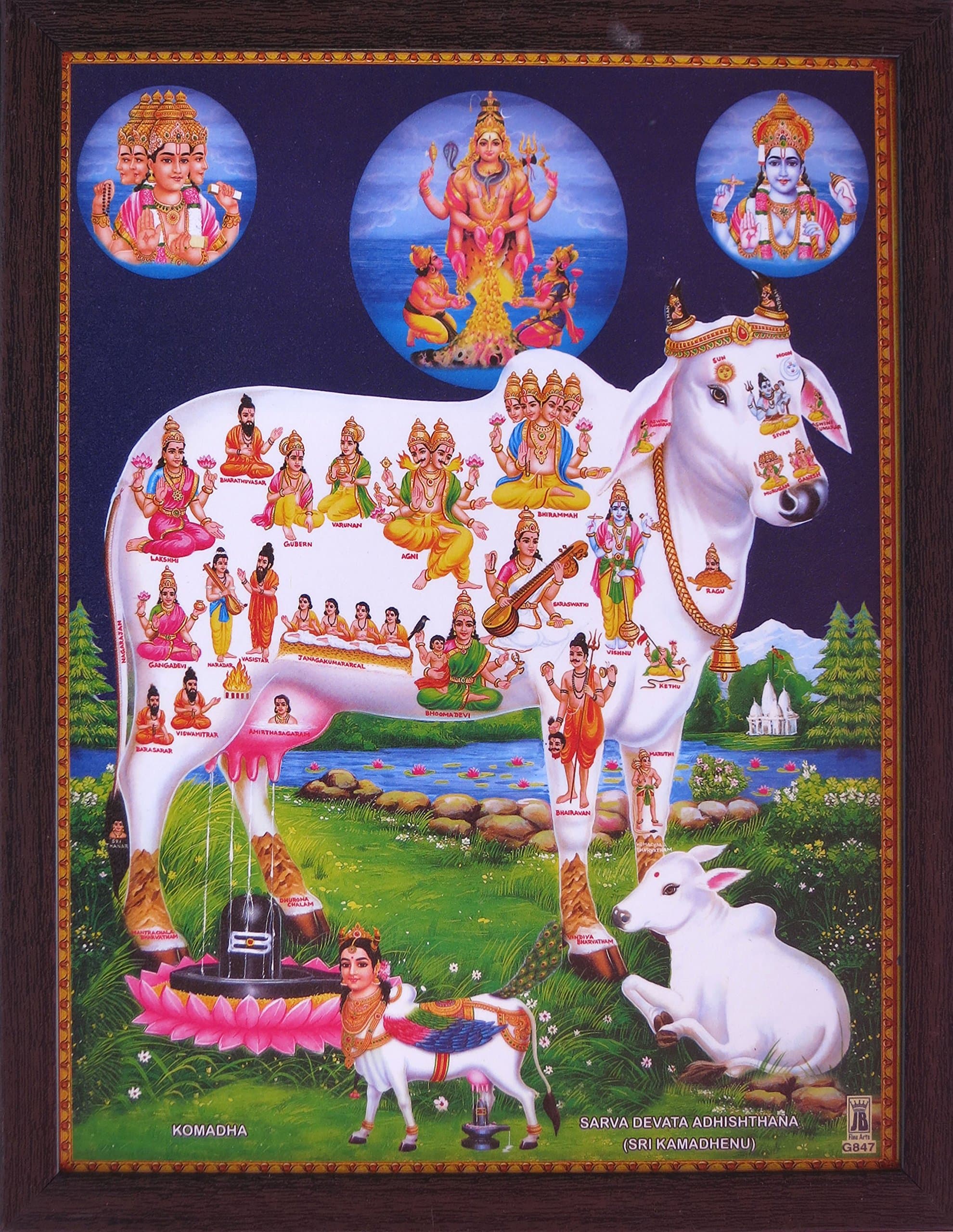 HandicraftStore Sarva Devote Adhishthana (Sri Kamadhenu),A Poster Painting with framing, Must for Hindu Religious and Worship Purpose