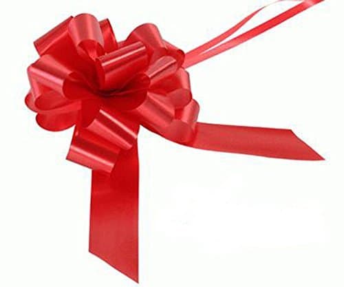 5 Bow Wedding Car Kit in Red - 5 Bows and Ribbon