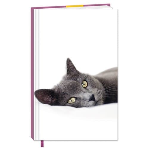 Cats Protection Stationery - Hardcover Notebook (A6) Charcoal Grey Cat