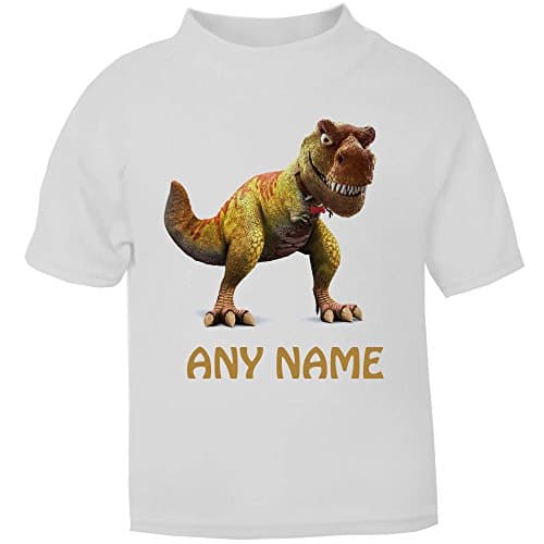 Cute Personalised T-Rex T-Shirt Girls Boys Top Child's Kids Tee dinosaur age size gift (2-3 Years)