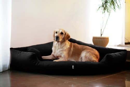 tr4-03 Dog Bed Trivia Corner BED CORNER Dog Bed Dog Sofa Dog Bed Size L 100cm Black