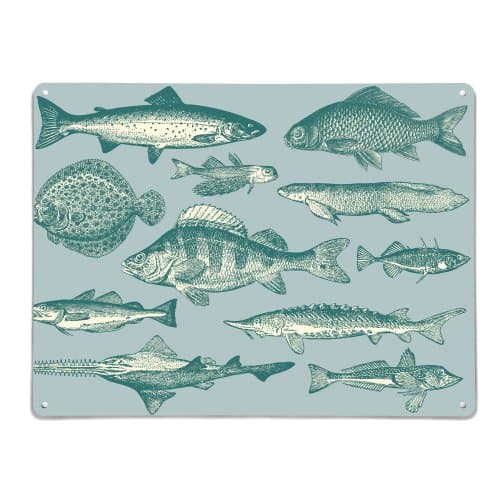 the Metal Art Company 1-Piece 100 x 75 cm Stove Enameled Mild Steel Design Fish Illustration Metal Wall Art Panel/ Large Magnetic Notice Board