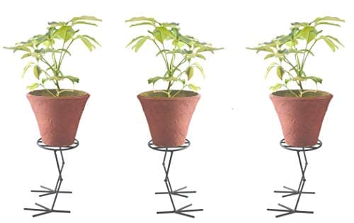 Erbanize® Metal Plant Stand/Planter Stand/Flower Pot Stand/Plant Holder. Set of 03