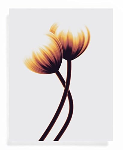 FLOWER Soundwave Art Print - Are We Dancing - Perfect Gift Ideas for Valentine's Day - 11 x 14 Unframed Illustrations for Music Fan or Home Decor swp 193