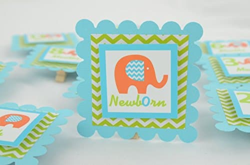 Elephant 12 Month Photo Banner, 1st Year Photo Clips, First Year Banner, Elephant Photo Banner, Light Turquoise and Lime Green, c-1024