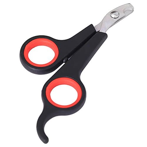 Petstory Claw Clippers for Puppy, Cat, Kitten, Rabbit, Guinea Pig, Lizard. Pet Nail Trimmer