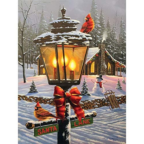 DIY Full Diamond Painting Cross Stitch kit for Adults Home Decoration Street Landscape of Housing