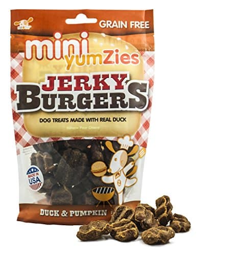 Nootie Yumzies Jerky Burgers Duck & Pumpkin Flavor, Grain Free Dog Treats, 12.5-Ounce (Pack of 2)