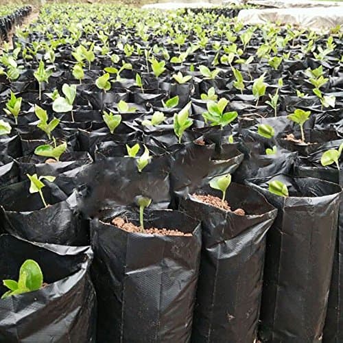 Mr. Garden Plastic Nursery Bag For Soil, Coco Coir, Grodan, W7.9"xL15.7" black (25pcs)