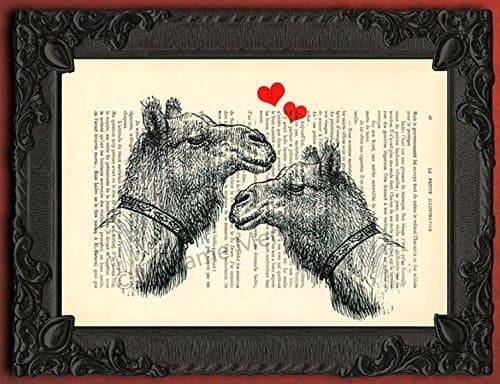 Camel couple in love dictionary art print dromedary head poster wall decor