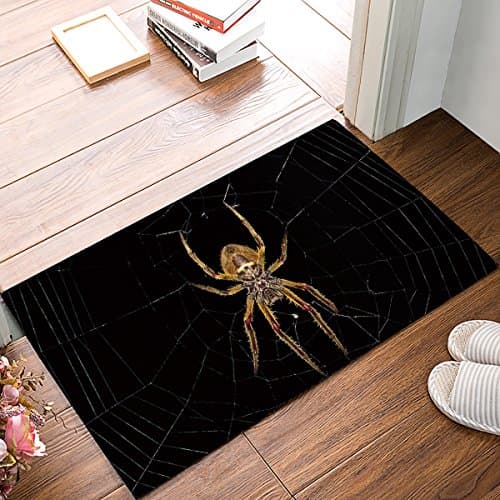 Findamy Non-slip Door Mat Entrance Rug Rectangle Absorbent Moisture Floor Carpet for Indoor Outdoor Spider and Cobweb Pattern Doormat 16x24 inch