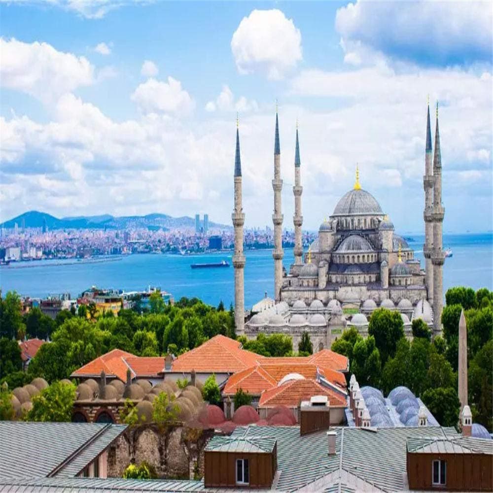 OKOUNOKO Diy Pre-Printed Canvas Oil Painting Gift,Sultan Ahmed Mosque,For Adults Kids With Brushes Without Frame,Home Decorations,40X50 Cm