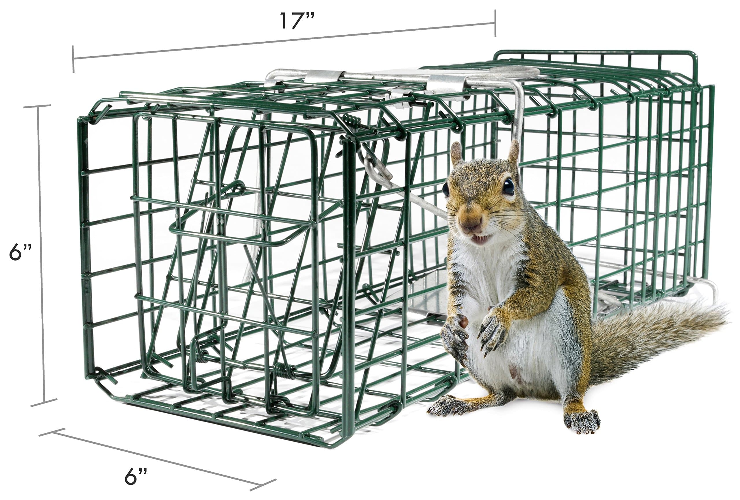 Parker 8 Live Animal Trap (17" X 6" X 6") Catch & Release Rodent Cage - Highly Efficient Professional Humane Solution for Rabbit, Squirrel, Mole, Gopher, Skunk - Steel