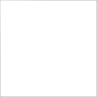 Dupli-Color DA1670 Gloss White Enamel Paint 12oz