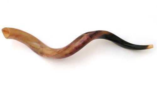 Shofarot Israel Kosher Yemenite Kudo kudu Shofar Large Size 36.5"- 40" Full Polish