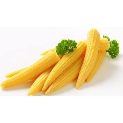 Baby Corn Seeds Hybrids F1 Vegetable Seeds for Home Garden for Planting for All Season (100 seeds) By Zabbus