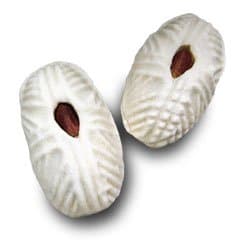 Pistachio Butter Cookie, 15 Cookies